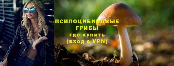 спиды Михайловск