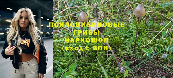 PSILOCYBIN Белоозёрский