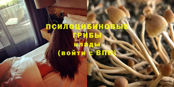 прущая мука Лиски