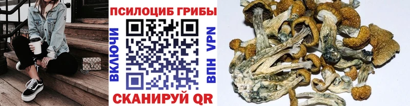 KRAKEN вход  Нефтеюганск  Псилоцибиновые грибы Cubensis 
