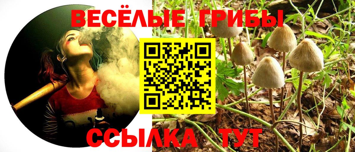 Галлюциногенные грибы Cubensis  Вход с VPN  Галлюциногенные грибы ЛСД  купить   Нефтеюганск 